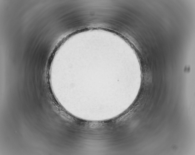 X0000089930832200707201838