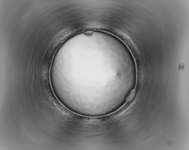 X0000089930833200707201838