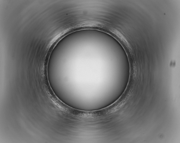 X0000089930834200707201838