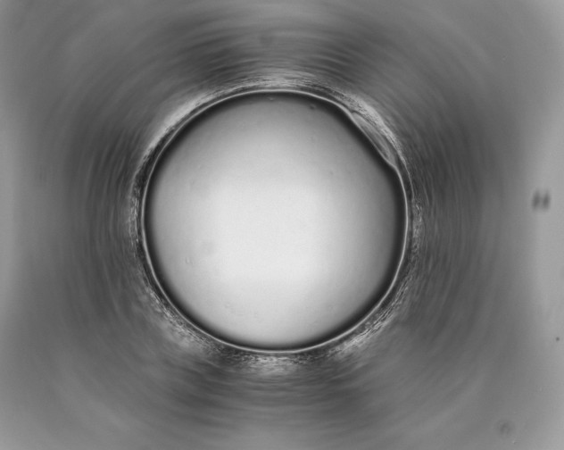 X0000089930835200707201838