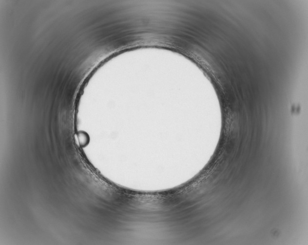 X0000089930836200707201838