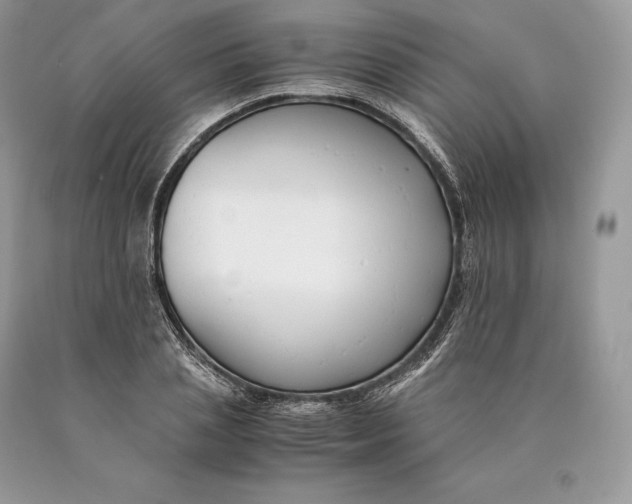 X0000089930837200707201838