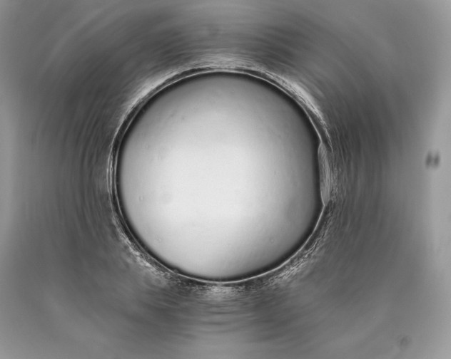 X0000089930839200707201838