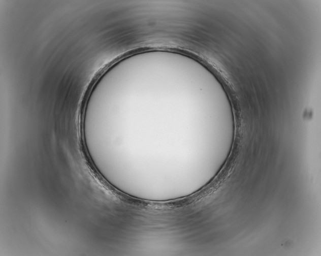 X0000089930840200707201838