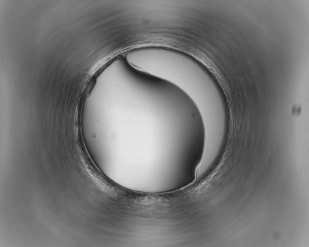 X0000089930842200707201838