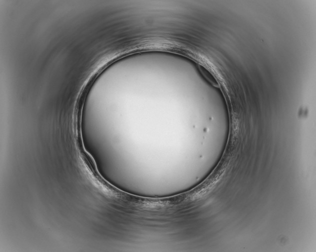 X0000089930843200707201838