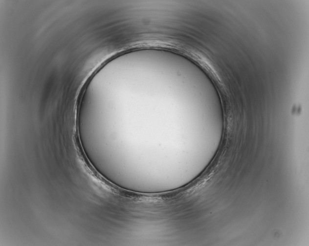 X0000089930844200707201838