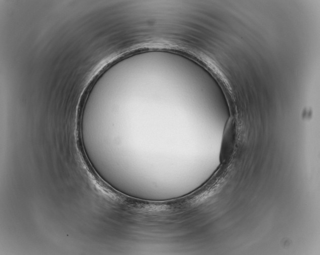 X0000089930845200707201838