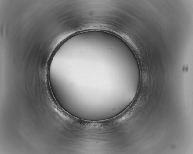 X0000089930846200707201838