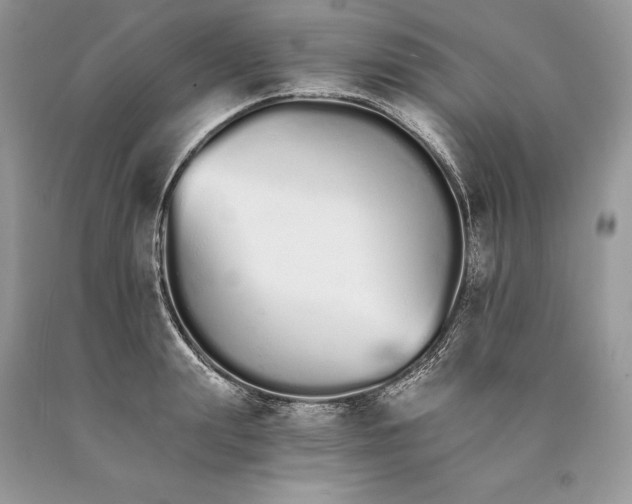 X0000089930847200707201838