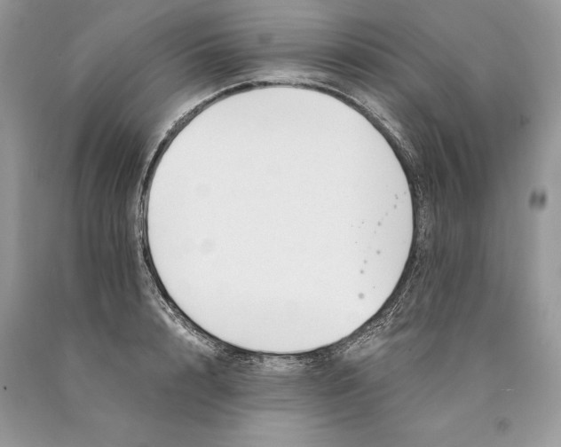 X0000089930848200707201838