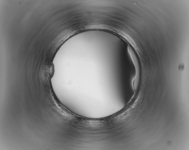 X0000089930849200707201838