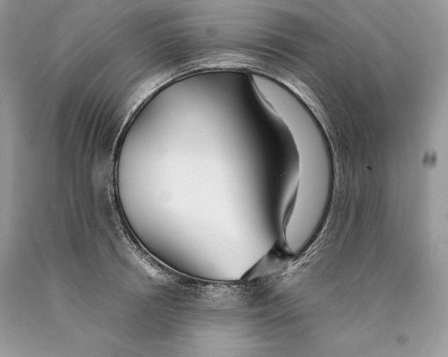 X0000089930850200707201838