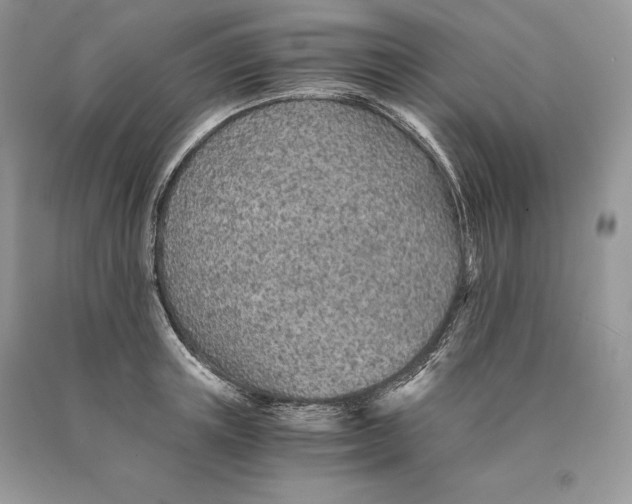 X0000089930851200707201838