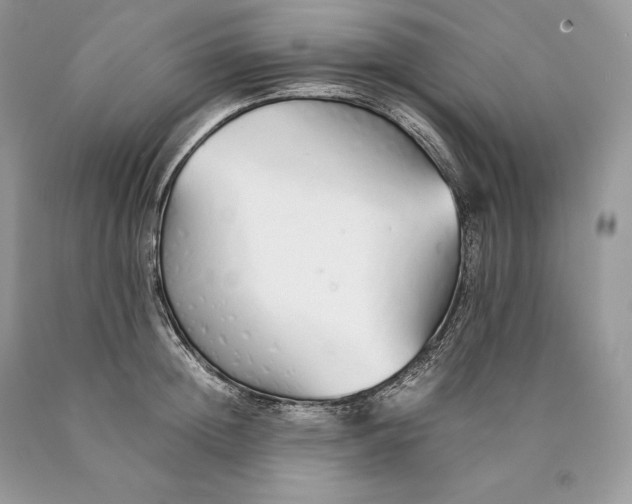 X0000089930852200707201838