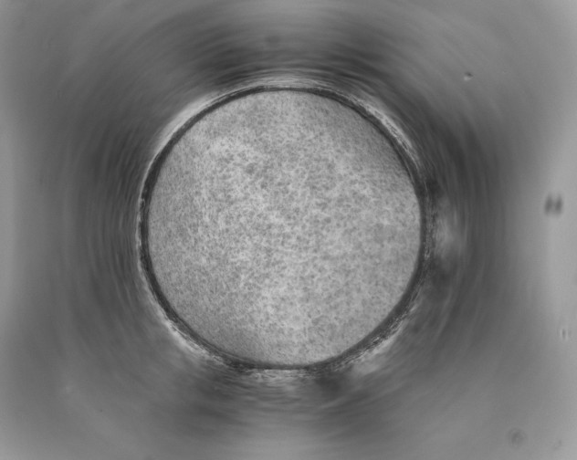 X0000089930853200707201838