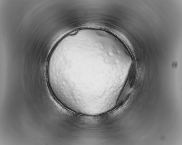 X0000089930855200707201839