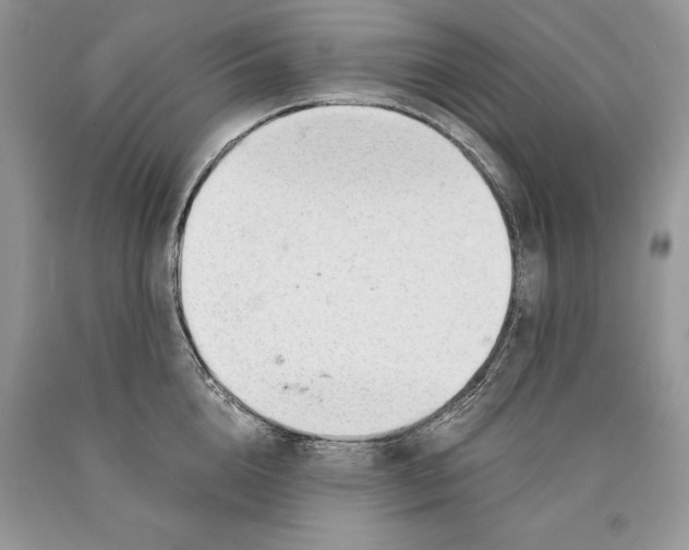 X0000089930856200707201839