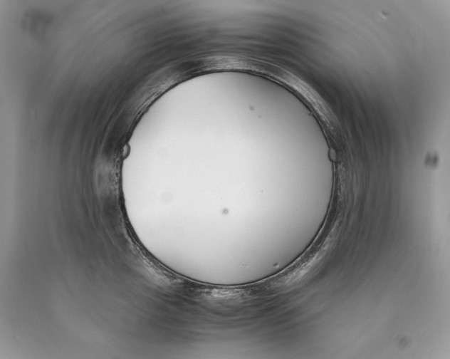 X0000089930857200707201839