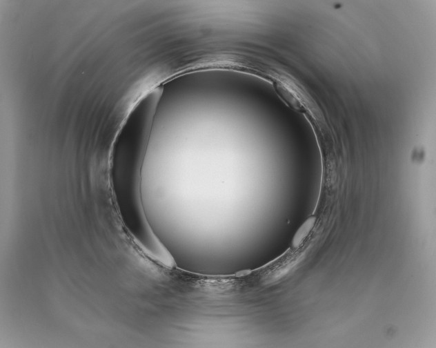 X0000089930858200707201839