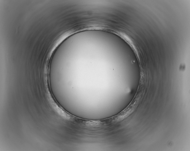 X0000089930859200707201839