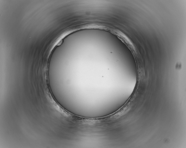 X0000089930860200707201839