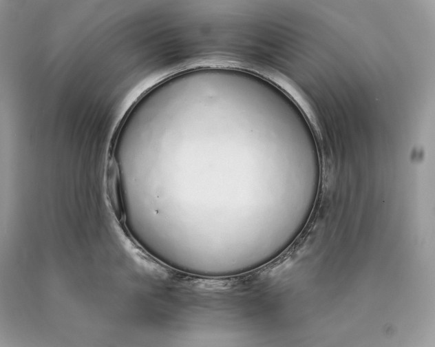 X0000089930861200707201839