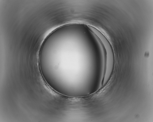 X0000089930862200707201839