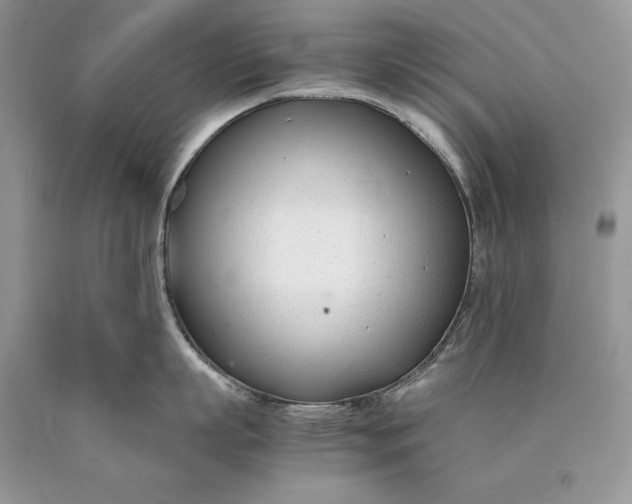 X0000089930863200707201839