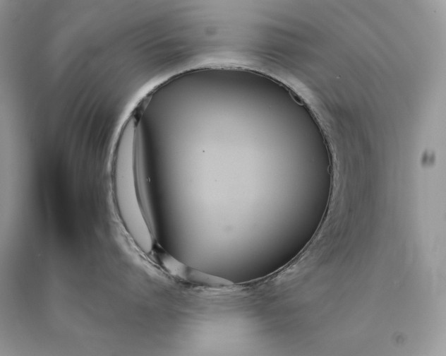 X0000089930864200707201839