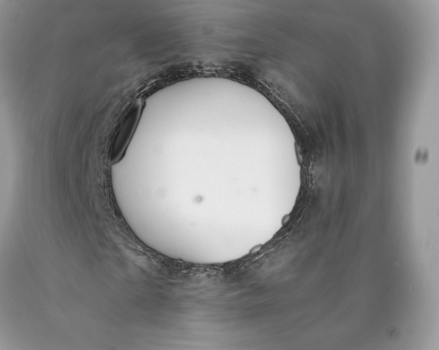 X0000089930865200707201838