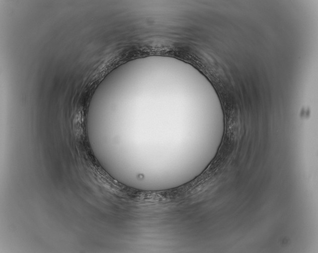 X0000089930866200707201838