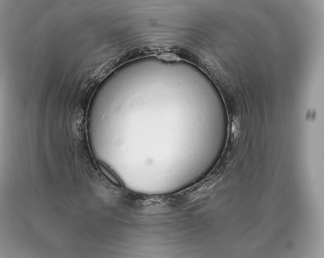 X0000089930867200707201838