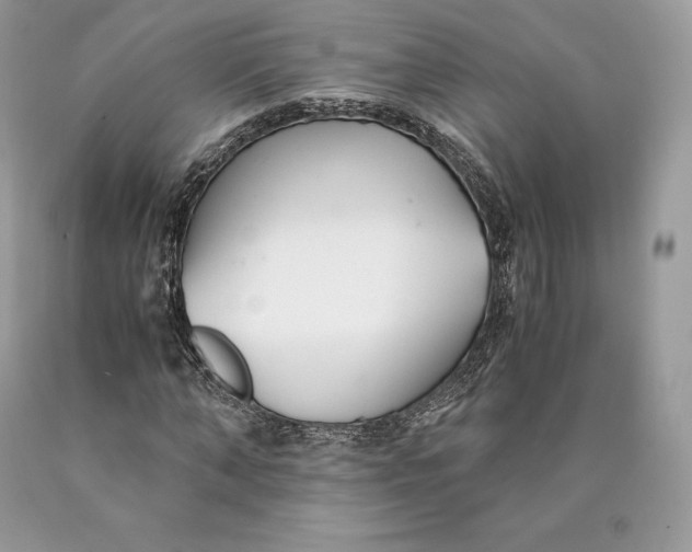 X0000089930870200707201838