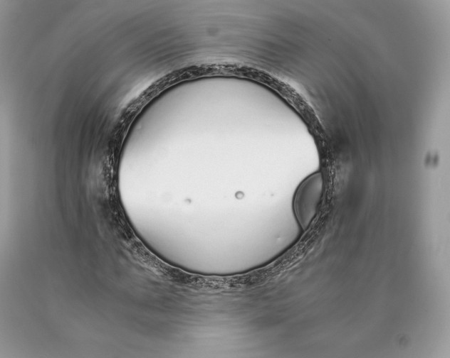 X0000089930871200707201838