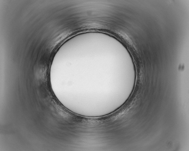 X0000089930873200707201838