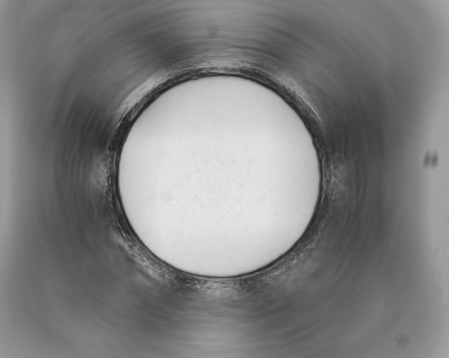 X0000089930874200707201838