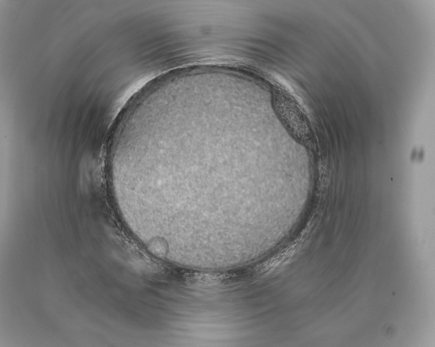 X0000089930875200707201838