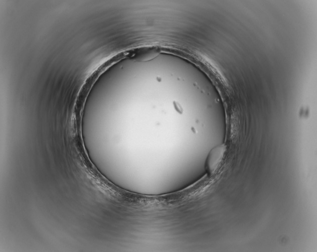 X0000089930876200707201838