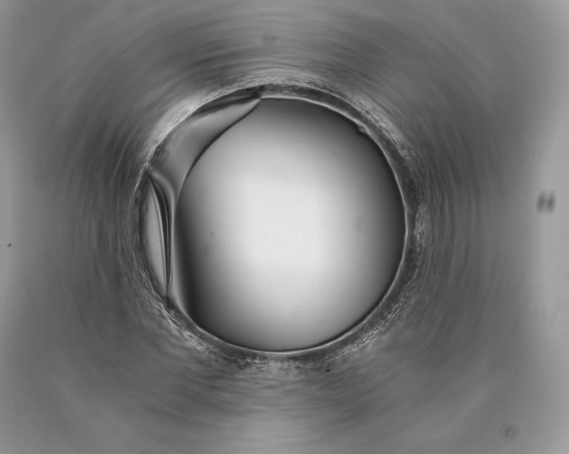 X0000089930877200707201838