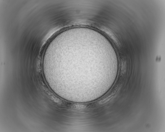 X0000089930878200707201838