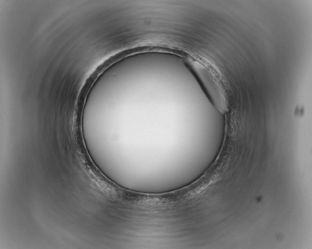 X0000089930880200707201838