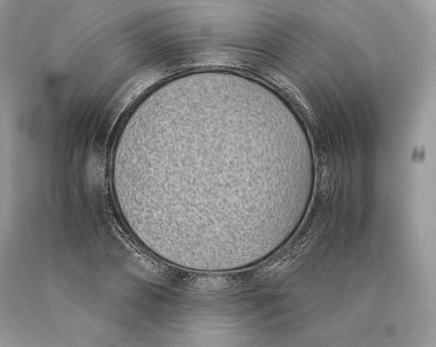 X0000089930882200707201838