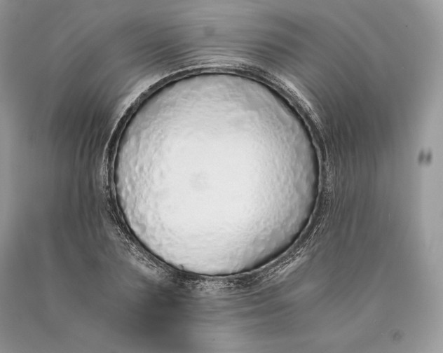 X0000089930883200707201838