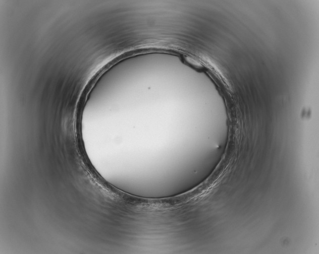 X0000089930884200707201838