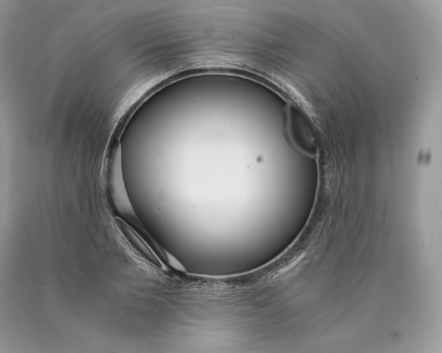 X0000089930885200707201838