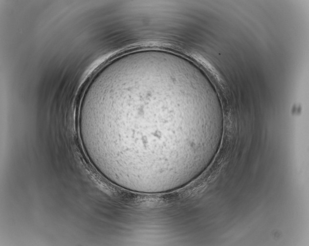 X0000089930886200707201838