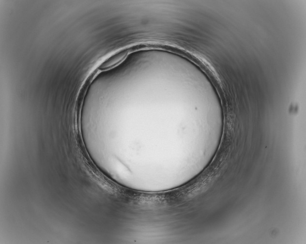 X0000089930887200707201838