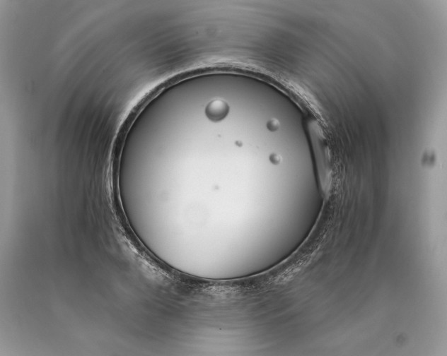 X0000089930888200707201838