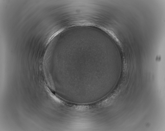 X0000089930889200707201838